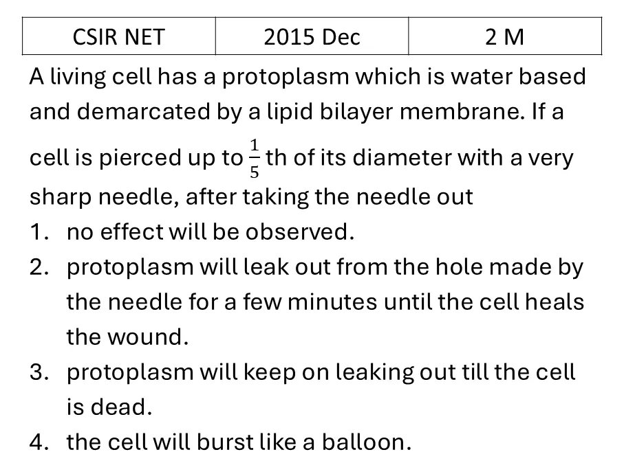 Question 5