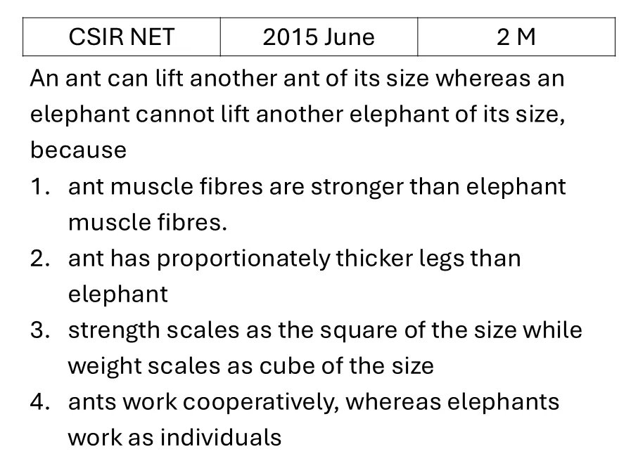 Question 11